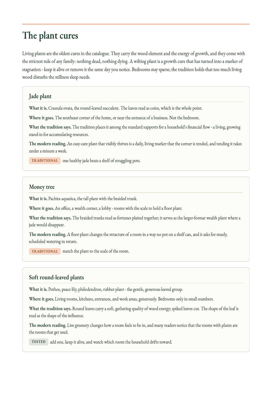 A page from inside The Cures and Crystals Catalogue.